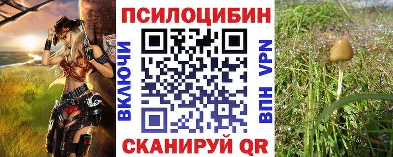 сколько стоит  Макаров  Галлюциногенные грибы прущие грибы 